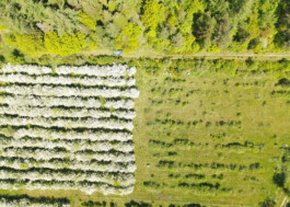 Kerzenwerkstatt Vollersode Susanne Huencken Bienen Imkerei