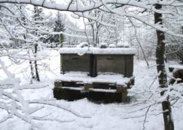 zwei Bienenbeuten im Schnee