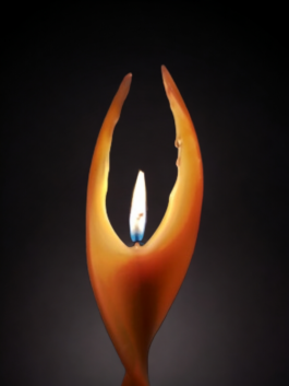 Kerzenwerkstatt Vollersode Susanne Huencken Bienen Imkerei