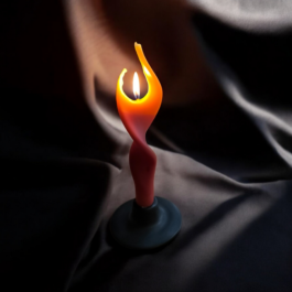 Kerzenwerkstatt Vollersode Susanne Huencken Bienen Imkerei