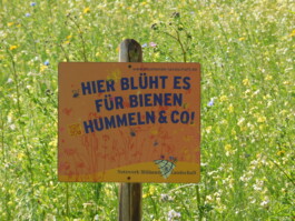 Kerzenwerkstatt Vollersode Susanne Huencken Bienen Imkerei