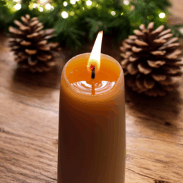 Kerzenwerkstatt Vollersode Susanne Huencken Bienen Imkerei