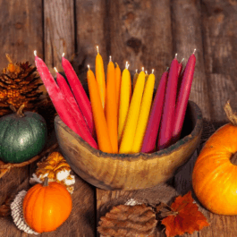 Kerzenwerkstatt Vollersode Susanne Huencken Bienen Imkerei